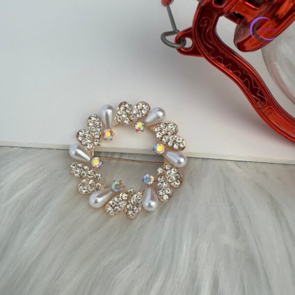 Brooch (Ab-6)